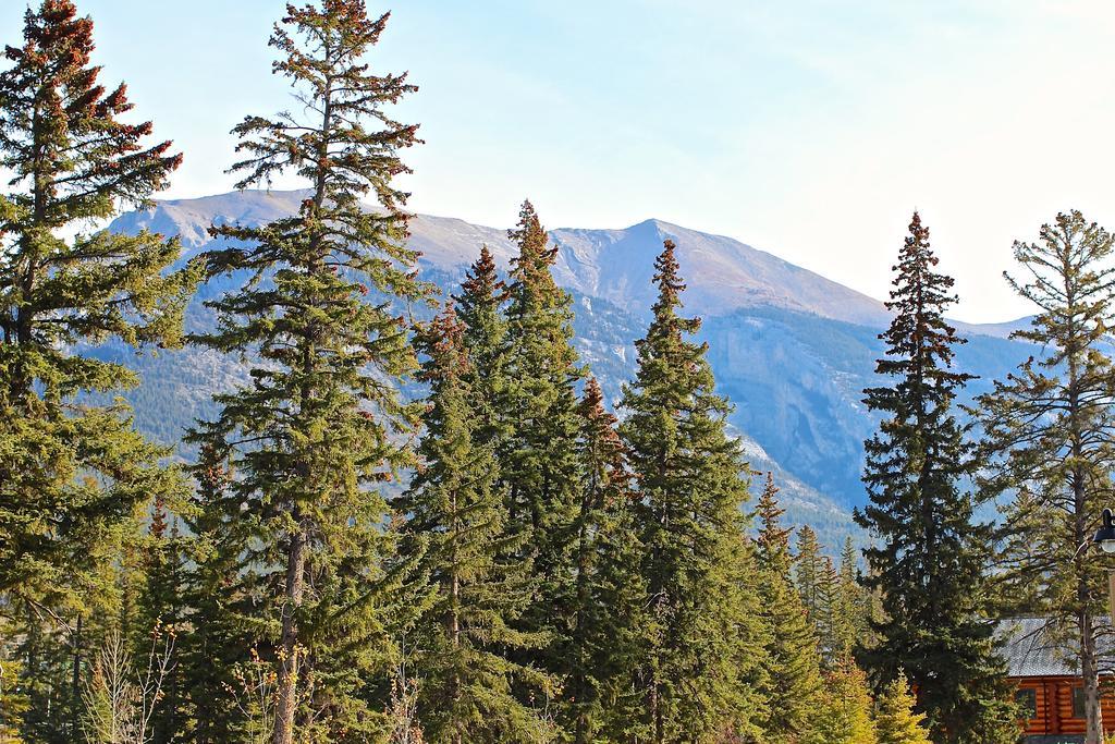 Luxury Canmore Vacations ภายนอก รูปภาพ