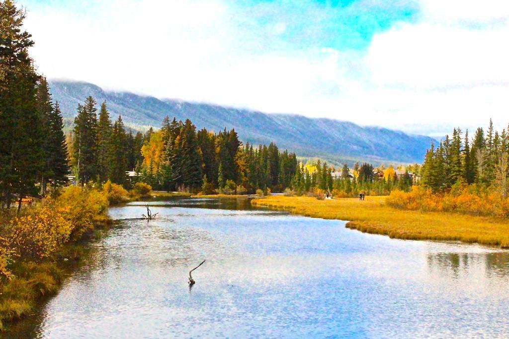Luxury Canmore Vacations ภายนอก รูปภาพ